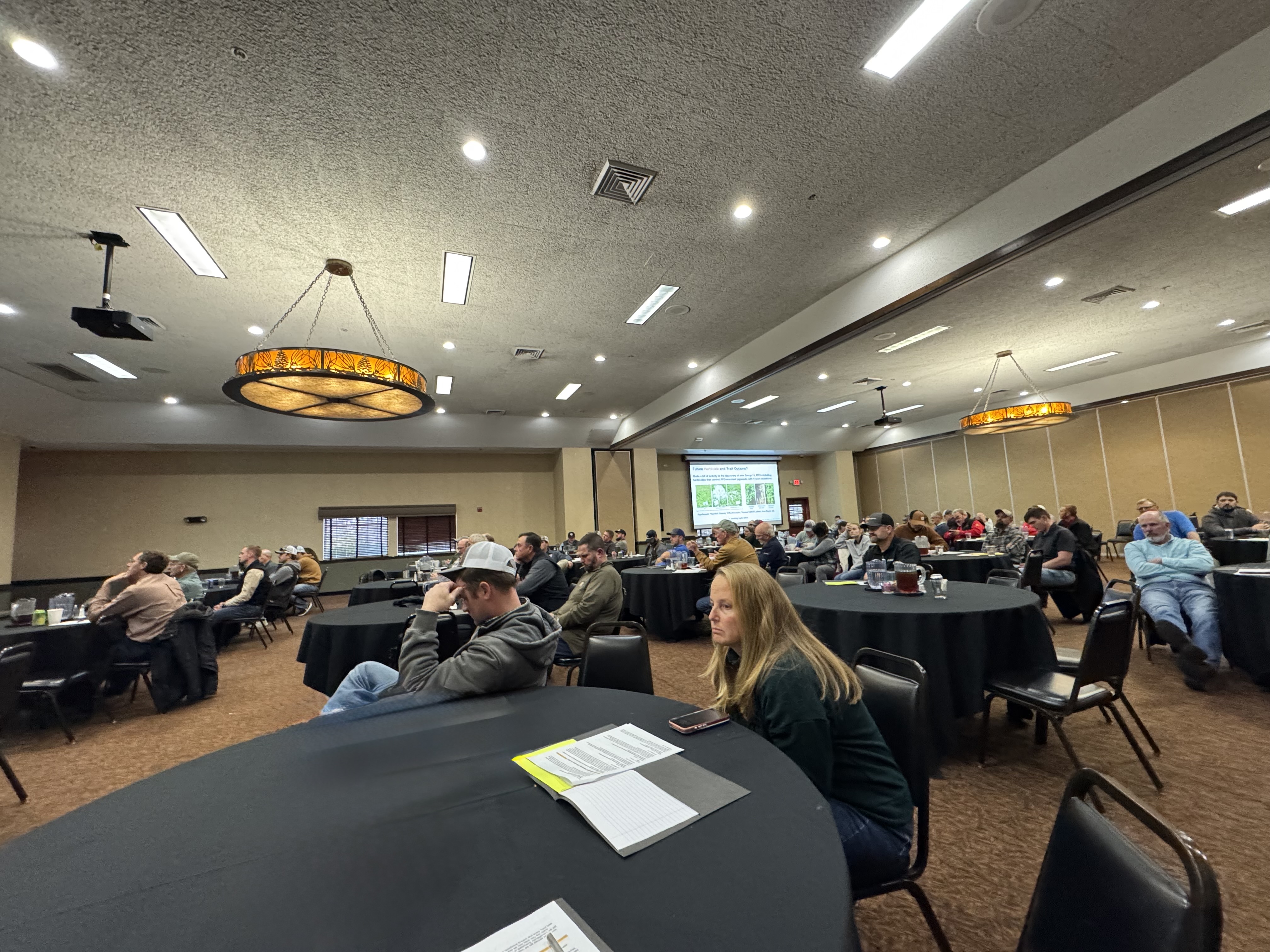 News item 2 - image 2