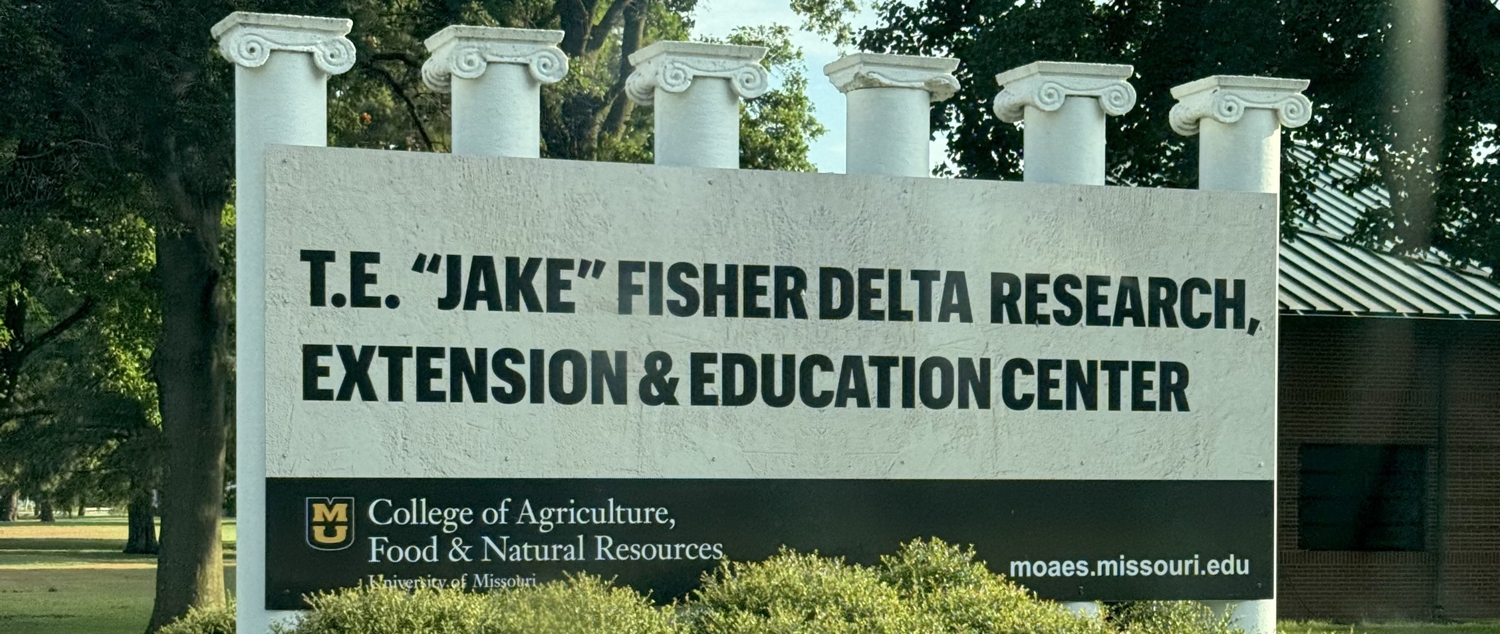 FDREEC Field Research